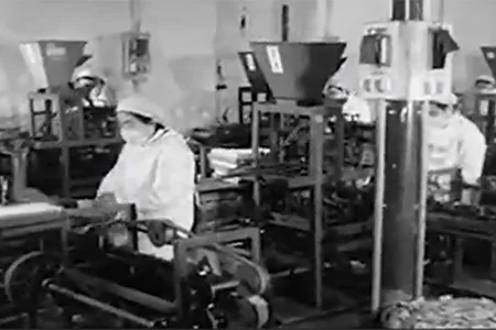 تاريخ تطور الشركة
